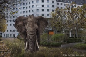 Fantastikworld 2016, Paris La Défense, elephant