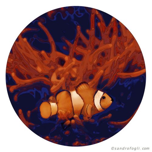 Animal Table - Clownfish