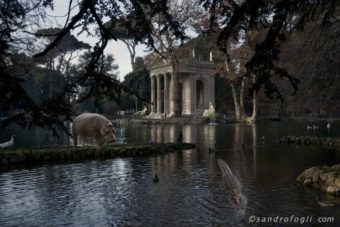 Fantastikworld 2016, romapark hippo