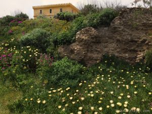 Ventotene_3902v