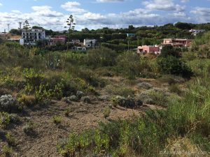 Ventotene_6764